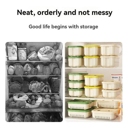 Vegetable Crisper Box - Double - Layer Food Organizer - EmporiumForAll